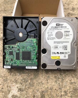 HARD DISK Western Digital 500GB