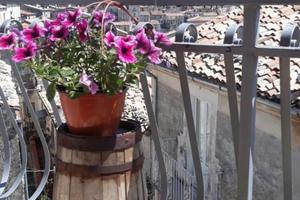 Appartamento con vista