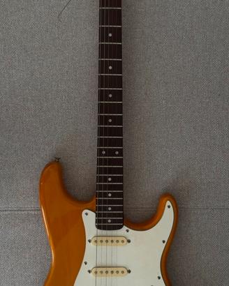 Chitarra elettrica