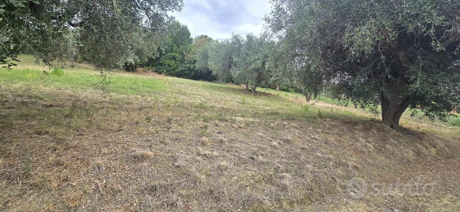 TERRENO EDIFICABILE - Vista 3