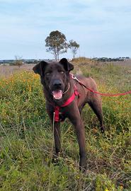 Coffee, 30kg di bontà