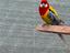 Immagine 1