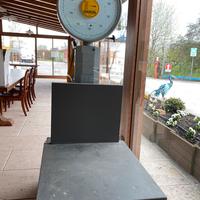 Bilancia ad ago Macchi, portata 300 kg