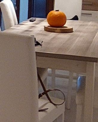 Tavolo 160x90 allungabile