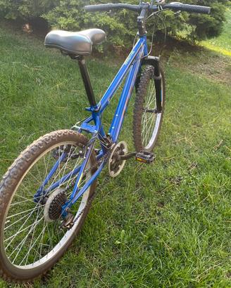 Bici da montanbike blu