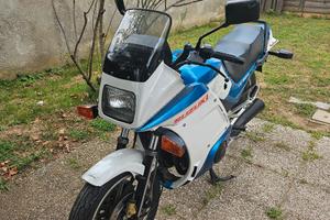 SUZUKI GSX