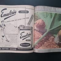 10 riviste scuola italiana moderna anno 1952