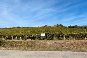 COMPLESSO DI TERRENI AGRICOLI – 7,31 HA