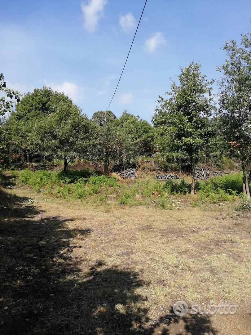 Terreno 3.000mq con progetto a Linguaglossa - Altro