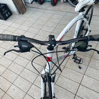 bici da uomo