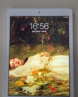 Ipad perfettamente funzionante