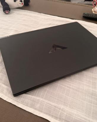 HP Victus 16 Gaming - Intel i5 13° Gen (12 Core),