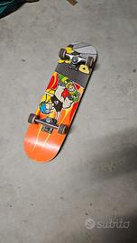 Skateboard Roces