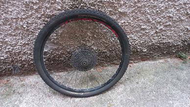 Ruota 29 pollici completa