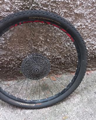 Ruota 29 pollici completa