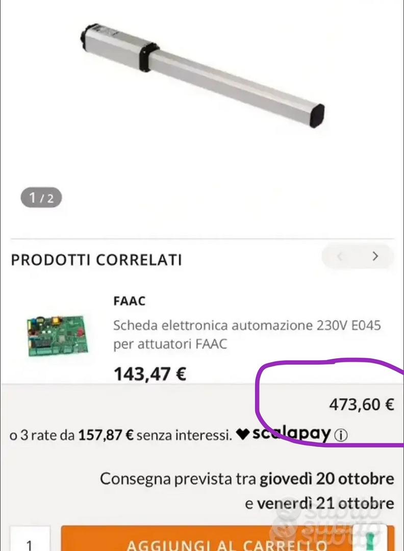 2 Motori cancello battente Faac 402 - Giardino e Fai da te In vendita a  Napoli