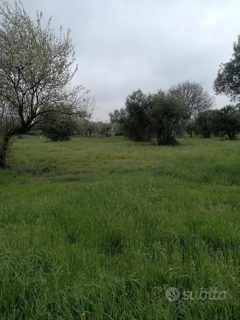 InsVendo 840 metri quadrati di terreno edificabile - Vista 3