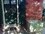 Immagine 24