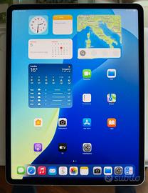 iPad Pro 12,9 (6th) gen. M2 - 128GB Wifi Cellular