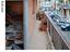 Immagine 7
