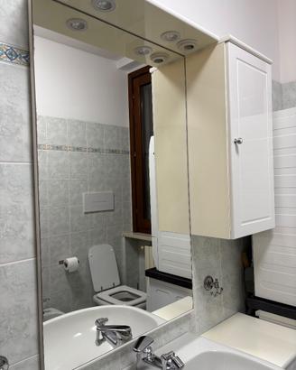 Mobile sotto lavandino  + specchio bagno