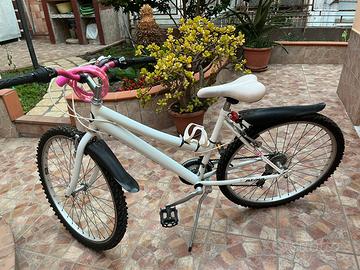 Bicicletta a marce