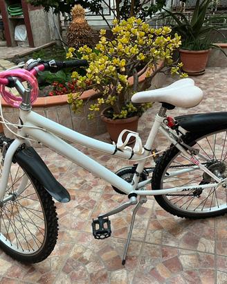Bicicletta a marce