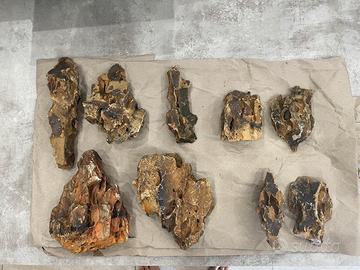 Acquario roccie dragon stone