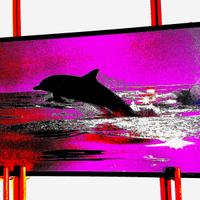 Quadro 75x45 Talbot delfino originale