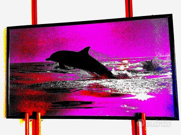 Quadro 75x45 Talbot delfino originale