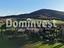 Immagine 10