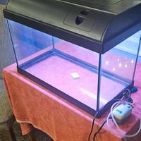 Acquario 25 litri