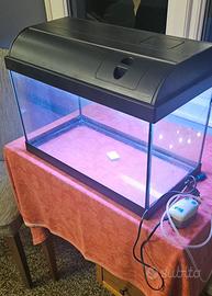 Acquario 25 litri