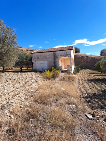 Terreno con casa e uliveto+mandorleto