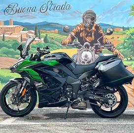 Kawasaki ninja 1000 sx 2024