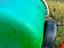 Immagine 3