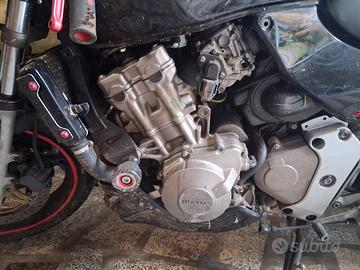 motore e doppio scarico hornet 600 2002