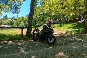 Ninja 250 R