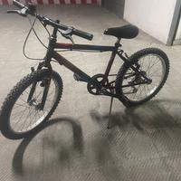 Bicicletta Cascella