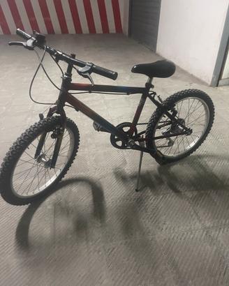 Bicicletta Cascella