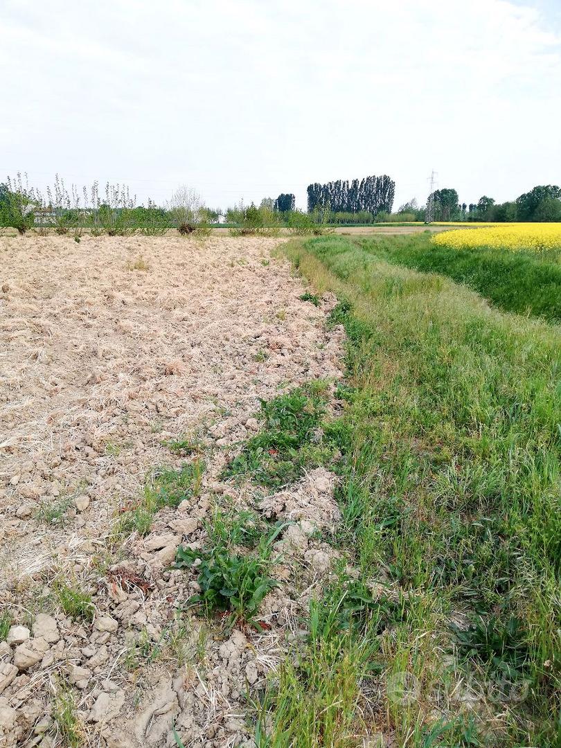 Terreno agricolo - Altro