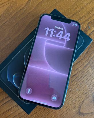 Iphone 12 Pro 256 Gb