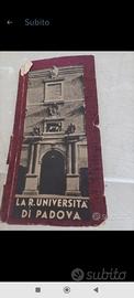 La r. università di Padova 