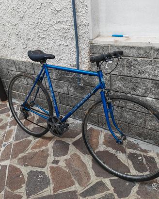 bianchi 