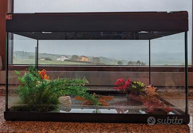 Acquario per pesci 