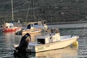 Boston whaler outrage Guardian 19