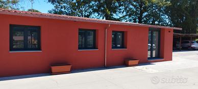 Fosso della Magliana