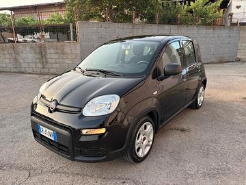 Fiat Panda 1.0 FireFly S&S Hybrid 11/2023 km 45.00