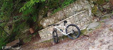 mtb MEGAMO FULL CARBON