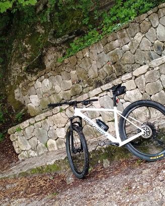 mtb MEGAMO FULL CARBON